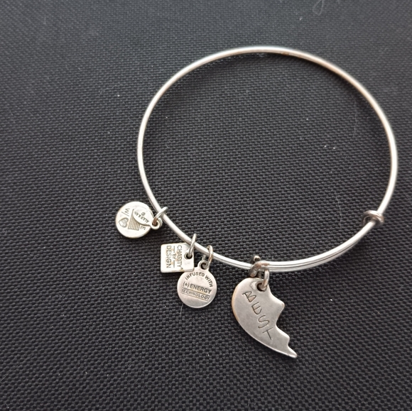 Alex and Ani Vintage Best Friends Bracelet - Picture 3 of 8